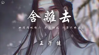 王子健 - 舍离去【动态歌词】♪