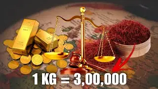 Saffron | World’s Most Expensive Spice | Reshot Filming