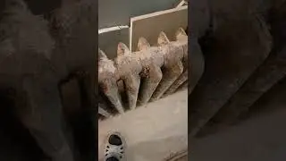 #смешно сушка удалась