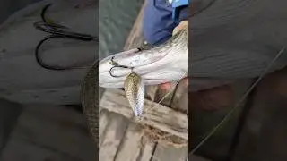 Новый спиннинг и блесна👍 