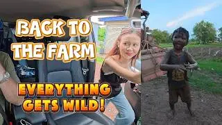 A crazy day at the farm.
