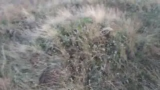 Следы войны. Дон. Круговой окоп.