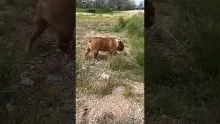 Where to go? I don’t know?