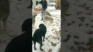 iyi insanlar  iyiki var..