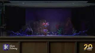 Where's My Dad | Finding Nemo JR (2024)