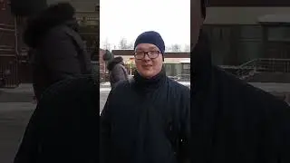 Новогодние Олени 