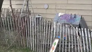 Chicken-omics for My Small Farm