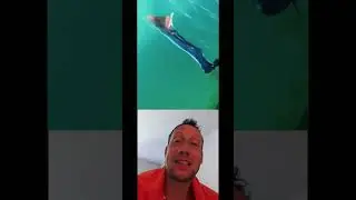 Клетка против акул для отдыхающих