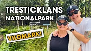 Tresticklans Nationalpark | Vildmark & Djupa Skogar!