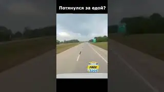 Урок на всю жизнь 