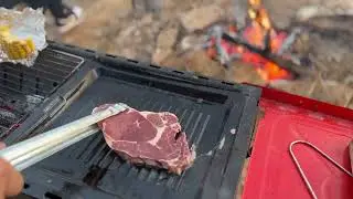Campfire Cooking Adventures: Camping Delights