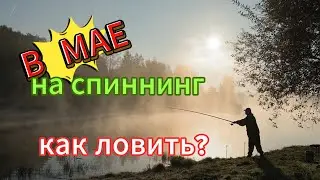 Рыбалка в мае: как подобрать идеальный спиннинг и приманки для ловли разных видов рыб
