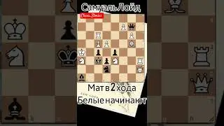 🧠 задача Лойда 38. Мат в 2 хода. 