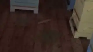 После зимовки
