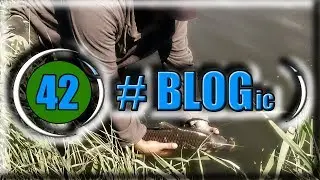 Блог о рыбалке, рыбаках и рыбе - BLOGic # 42  ТОЛЬКО ДЛЯ РЫБАКОВ!🎣