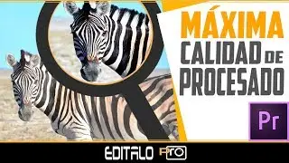 Export Video with Maximum Processing Quality