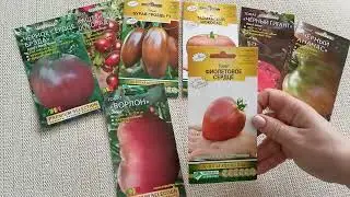 Томаты-шоколадки вновь в продаже.м-н ДАЧА г.Каменск-Уральский.25.01.2024 г.