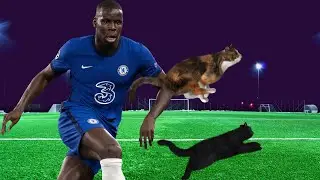 Kurt Zouma - The Cat Whisperer