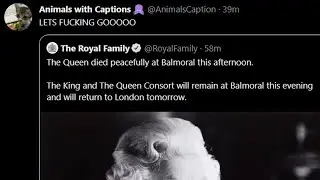 Twitter on Queen Elizabeth's death 💀