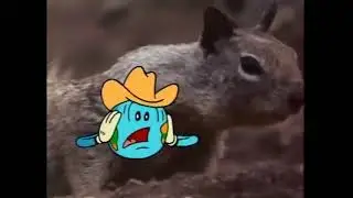 Really Wild Animals Amazing North America: Spin is afraid of the ground squirrel