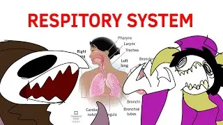 The Respiratory System [The Best Smart Friend Pals]