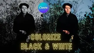 How to Colorize a Black & White Photo in Just 15 Seconds in Canva. | Canva Tutorial