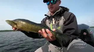 ​Fishing Ontario’s Sturgeon Lake - Episode 2