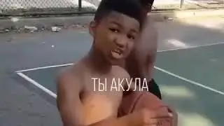 Мотивация, для повышения духа!  " ТЫ АКУЛА! "