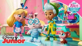 🧁 Det perfekta familjefotot | Alice och bageriet i Underlandet | Disney Junior Sverige