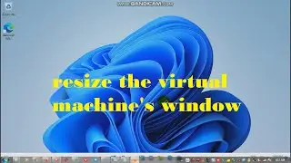 how to install guest additions to windows 11 in virtualbox