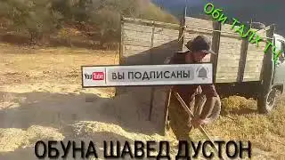 Гандумкахборкуни таги боги Шах без комментариев