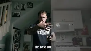 GH5 / Varicam VLOG LUTS / Base LUT