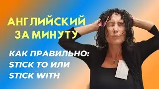 Тонкая разница между STICK TO и STICK WITH