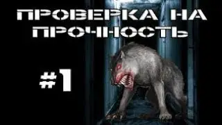 Проверка на прочтость №1