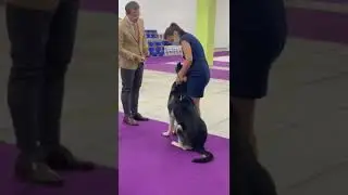 Ольвал Дэнис РУМБАЛУ