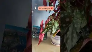 Это любовь 