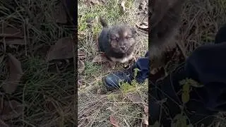 КТО ЭТО СДЕЛАЛ?😡