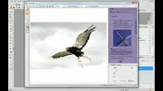 Serif PhotoPlus X6 Tutorial - Cutting Out Photos