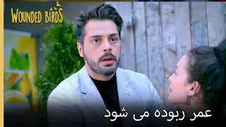 همه در وحشت هستند | نمیره قسمت 200 | پرندگان زخمی