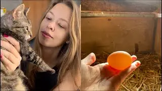OUR FIRST EGG 😍 VILLAGE RENOVATION | Village Yard Cleaning