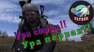 DayZ  проект | PERVAK | PVE | УРА! СТРИМ!!!!