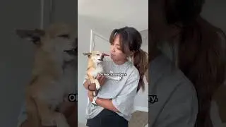 pls help