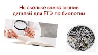 О важности деталей в ЕГЭ по биологии