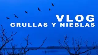 VLOG / Grullas y Nieblas