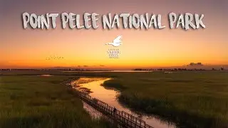 A Weekend in Point Pelee National Park (oTENTik!)