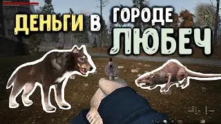 STALKER ОНЛАЙН / Зарабатываем деньги на собаках и крысах