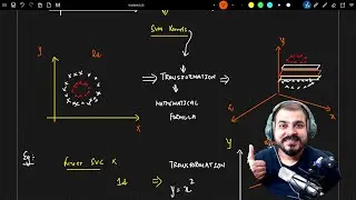 How SVM Kernels Work? |Krish Naik Hindi