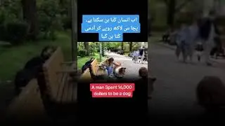 Chinese Man spend a 48 lakha to become a dog🐕