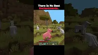 There Is No Best Enchantments.. 