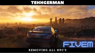 How To: Remove all NPC's from your FiveM!